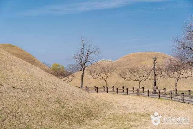 경주 대릉원 사진