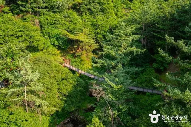 좌구산 자연휴양림 사진