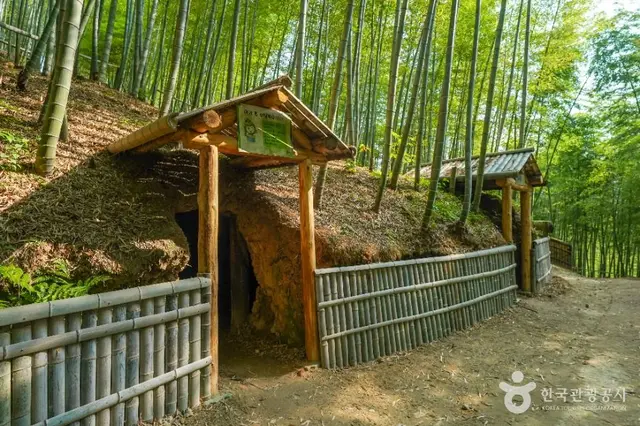 거제맹종죽테마공원 사진