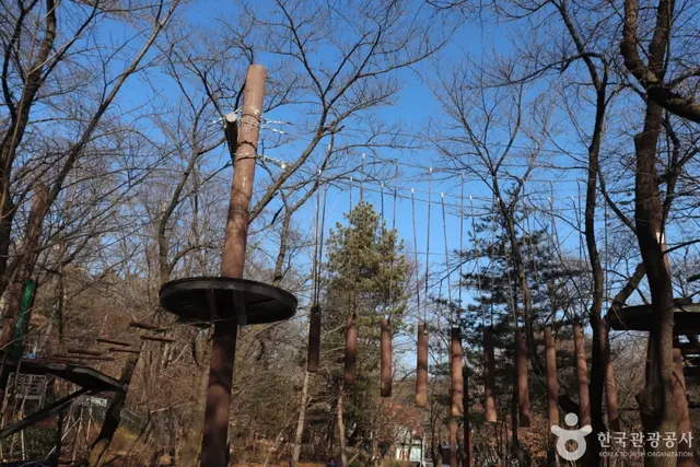 관악산자연공원 사진