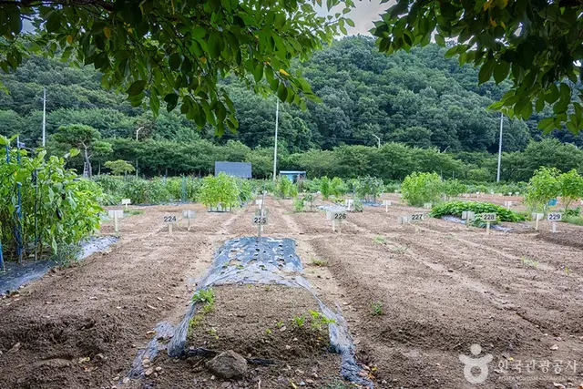 원두막주말농장 사진
