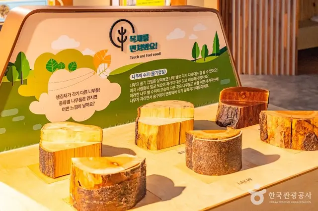 예천 목재문화체험장 사진