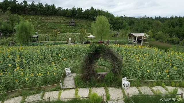 뒷뜨루관광농원 사진