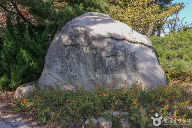 울산테마식물수목원 사진