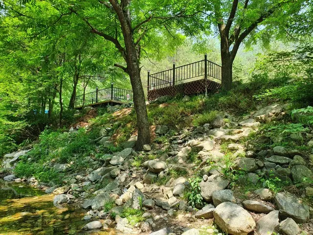 검산별빛캠핑장 사진