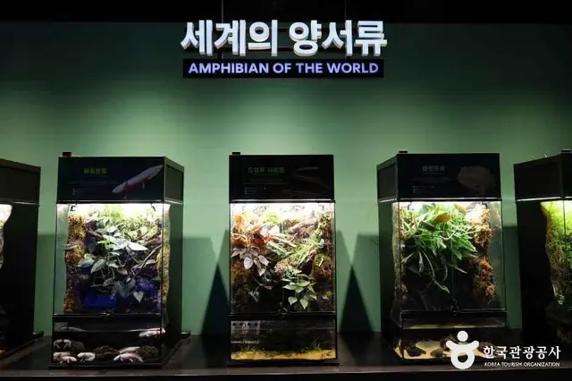 충주아쿠아리움 사진