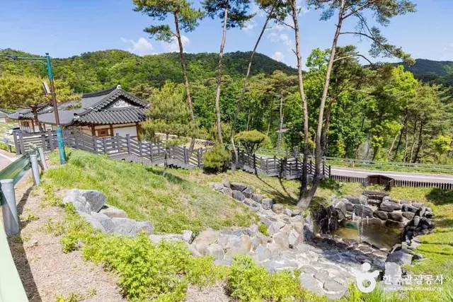 속리산 숲체험휴양마을 사진
