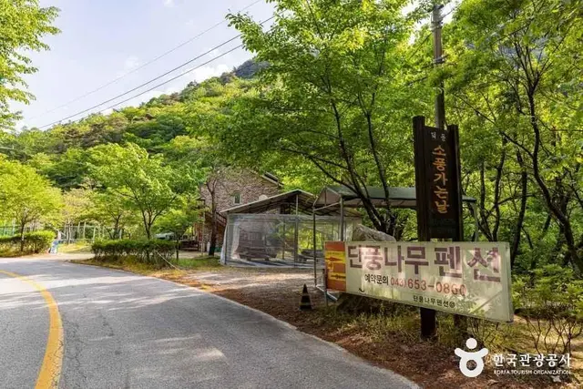 덕동소풍가는날 펜션캠핑장 사진