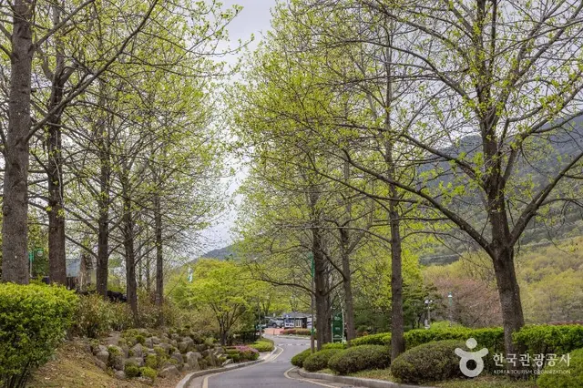 화명수목원 사진