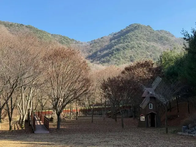 충북알프스자연휴양림 사진