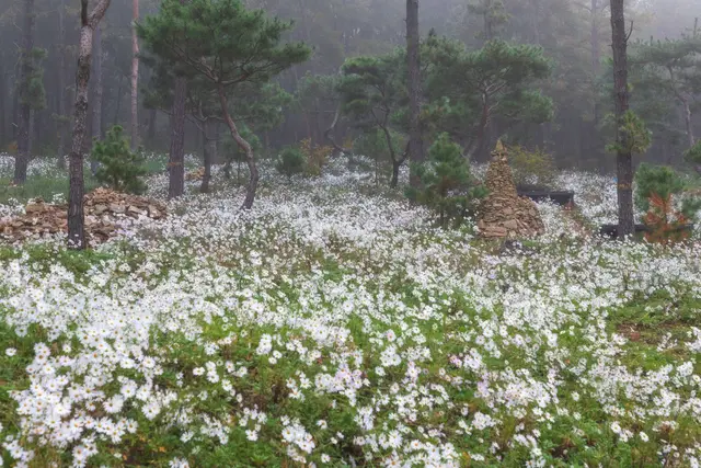 율곡수목원 사진