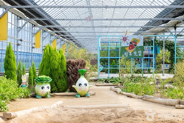 행복텃밭 사진