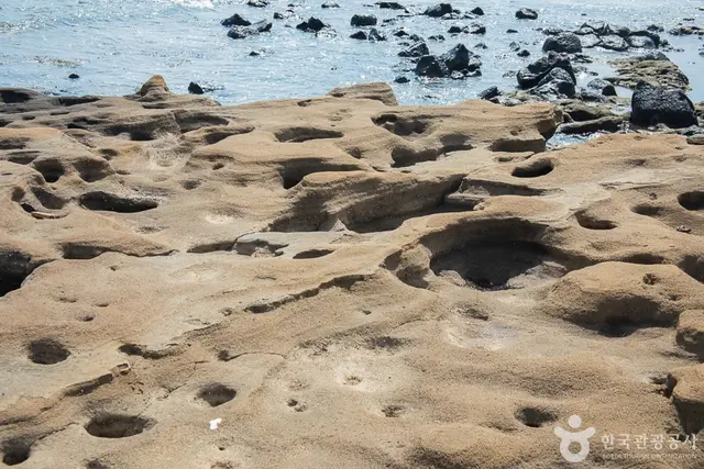 발자국화석공원 사진
