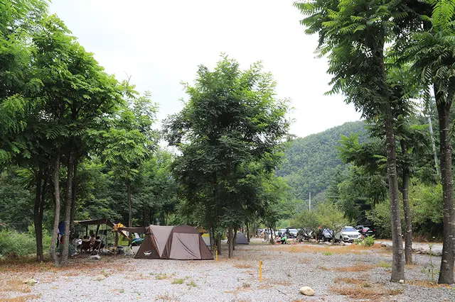 별마로빌리지캠핑장 사진