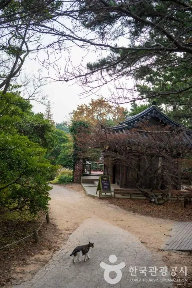 천리포수목원 사진