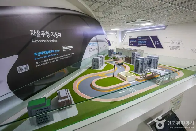 부산수학문화관 사진