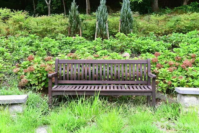 수완인라인롤러경기장 사진