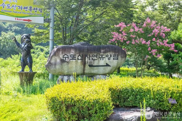 수도산자연휴양림 사진