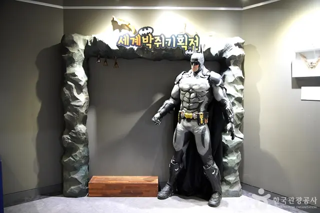 영월동굴생태관 사진