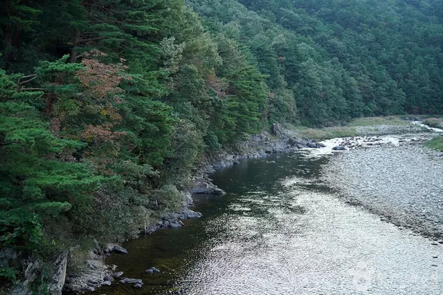 공수전계곡 사진