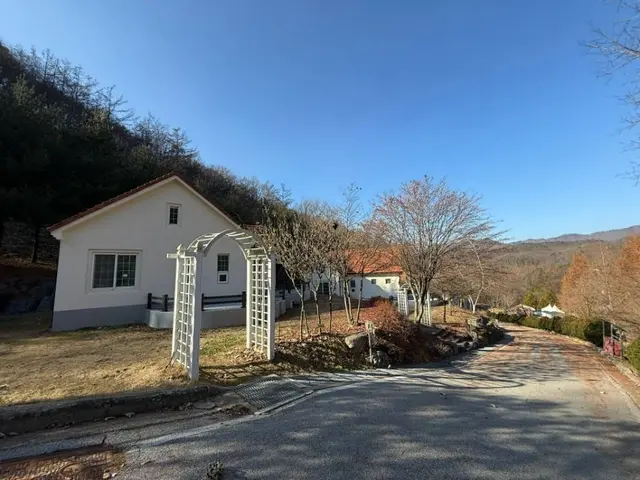 충북알프스자연휴양림 사진