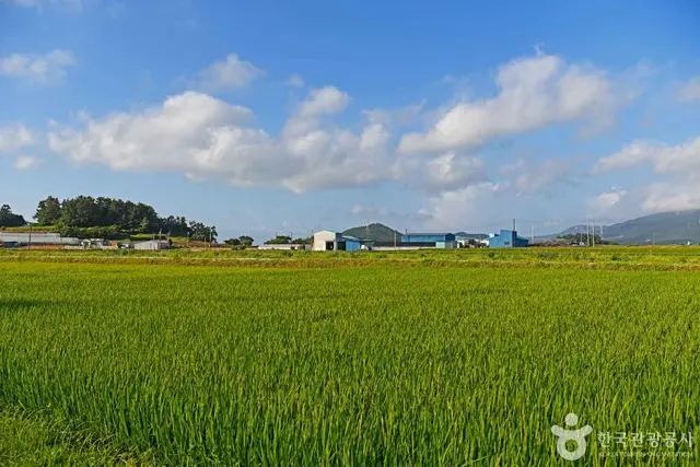 오산어촌체험마을 사진