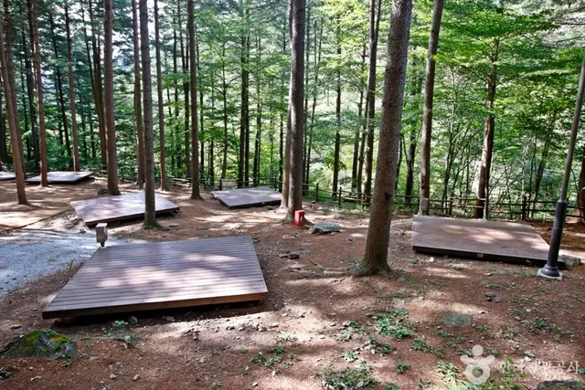 국립 덕유산자연휴양림 사진