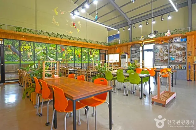 순창앵무새팜 사진