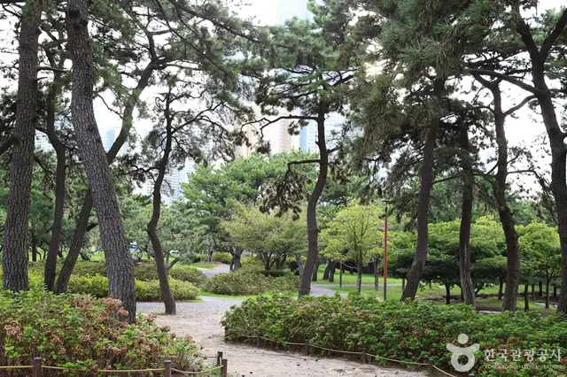 송림공원 사진