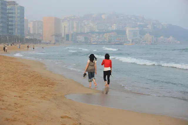 해운대해수욕장 사진