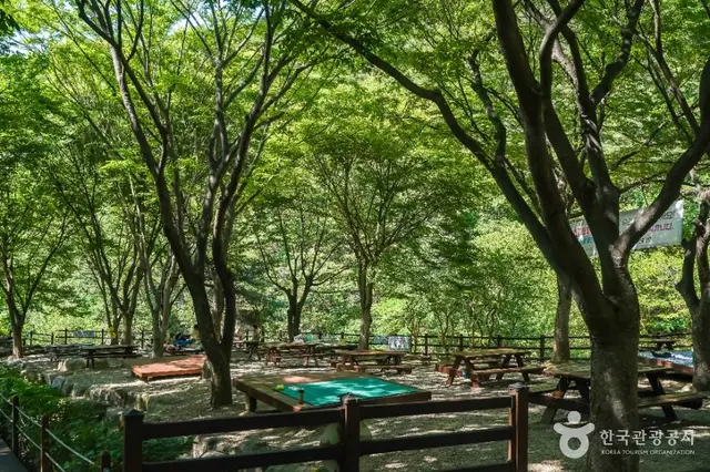 화원자연휴양림 유아숲체험원 사진