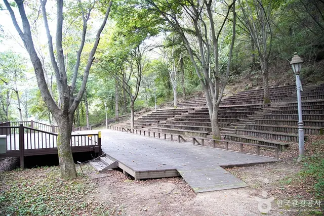 국립 백운산자연휴양림(원주) 사진