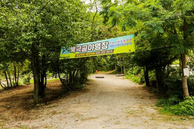 북극곰 캠핑&야영장 사진