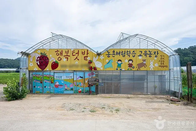 행복텃밭 사진