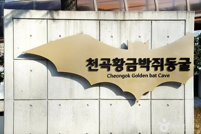 천곡천연동굴 자연학습체험공원 사진