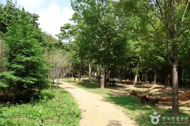 월드컵공원 유아숲체험원 사진