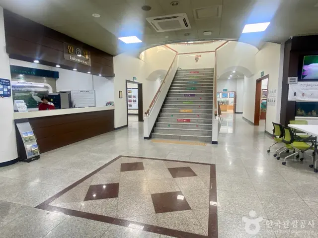 안산갈대습지공원 사진