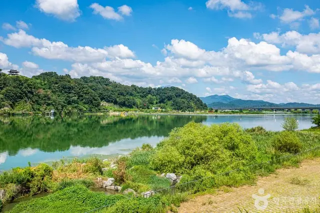 칠곡보 생태공원 사진