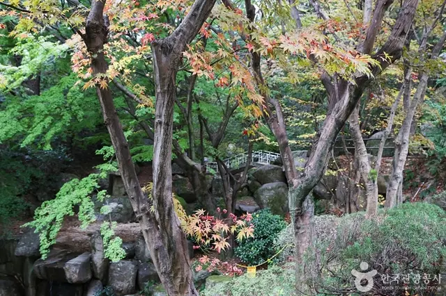 금강식물원 사진
