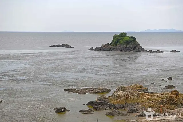백수해안공원 사진
