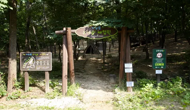 하늘물 유아숲체험원 사진