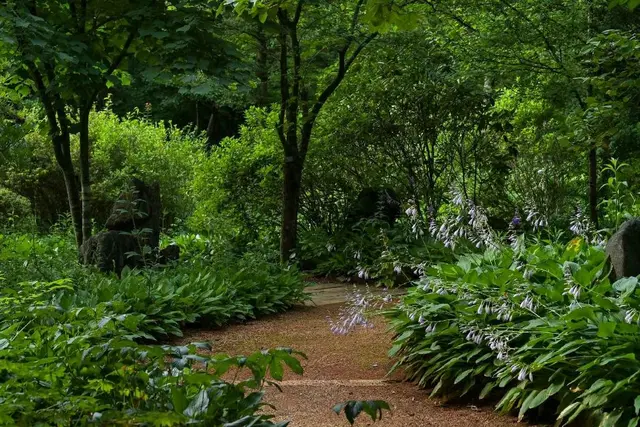 국립한국자생식물원 사진