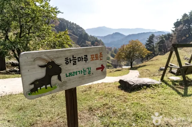 하늘마루염소목장 사진