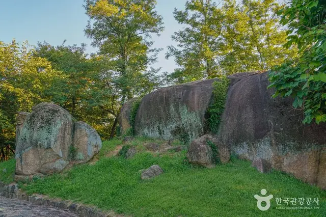 봉황대공원 사진