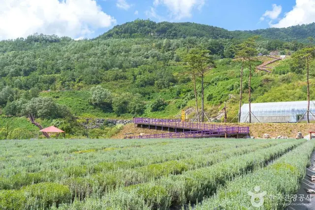 무릉별유천지 사진