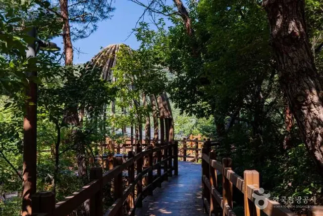 국립대전숲체원 사진