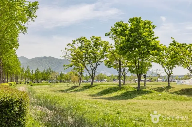 삼락생태공원 사진