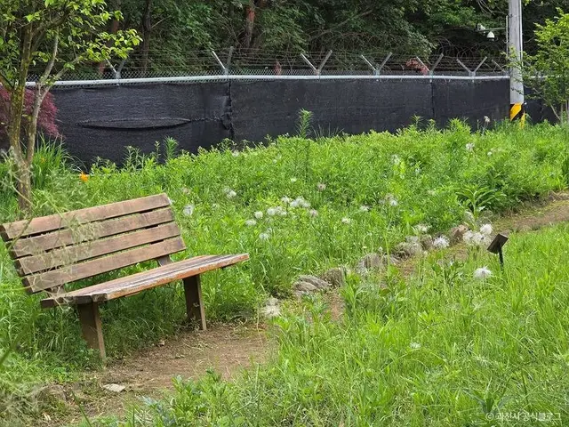 과천야생화자연학습장 사진
