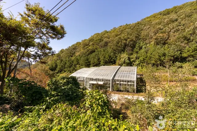 군위 장곡자연휴양림 사진