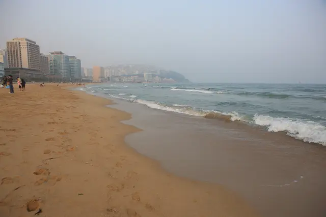 해운대해수욕장 사진